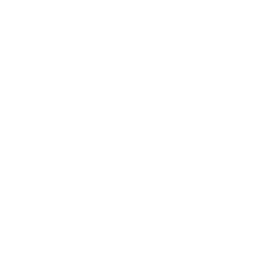 Ausome Indy logo